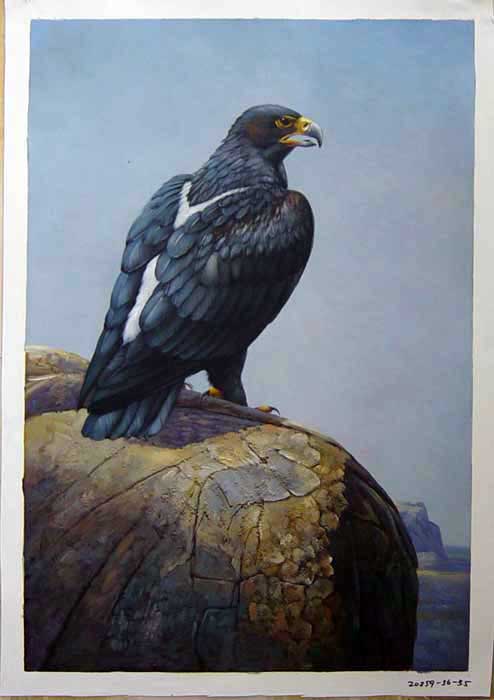 Painting Code#S120259-Eagle Painting