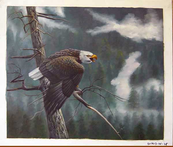 Painting Code#S120403-Bald Eagle Painting