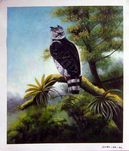 Painting Code#S121080-Bird Painting
