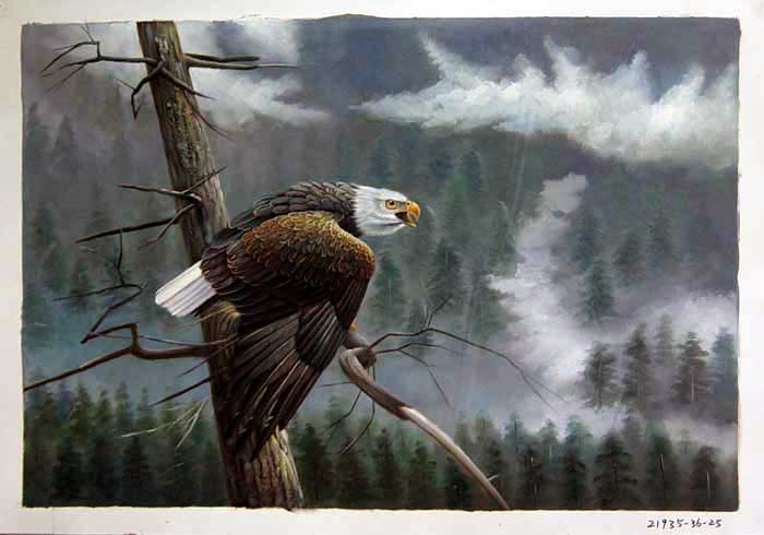 Painting Code#S121935-Eagle Painting