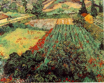 Painting Code#40508-Vincent Van Gogh:Field of Poppies