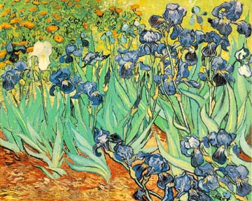 Painting Code#40513-Vincent Van Gogh - Irises, Saint-Remy, original size: 71 x 93cm