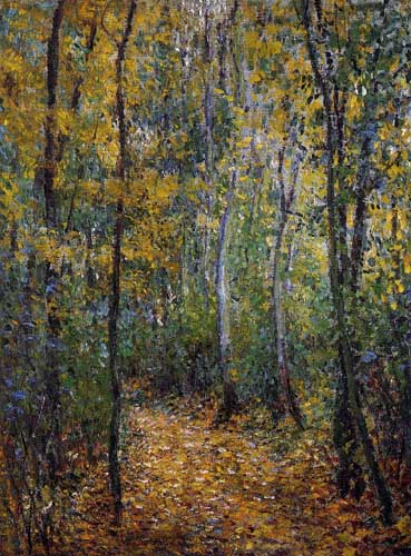 41529 Claude Monet Paintings oil paintings for sale