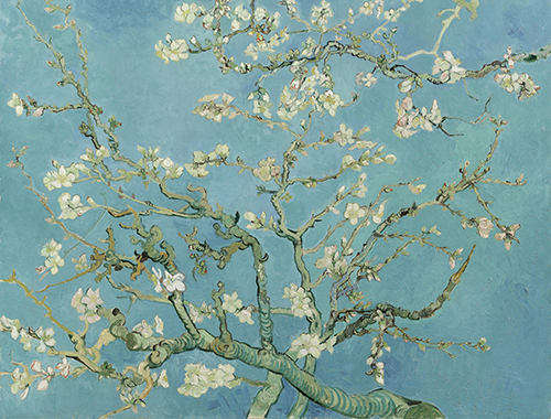Painting Code#41541-Vincent Van Gogh - Branches with Almond Blossom