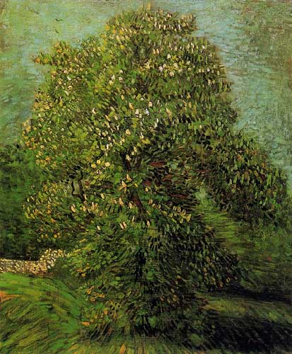 Painting Code#41543-Vincent Van Gogh - Chestnut Tree in Bloom