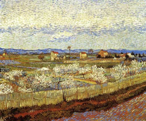 Painting Code#41561-Vincent Van Gogh - La Crau with Peach Trees in Bloom