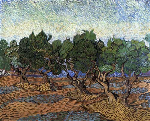 Painting Code#41572-Vincent Van Gogh - Olive Grove