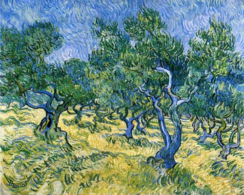 Painting Code#41573-Vincent Van Gogh - Olive Grove 
