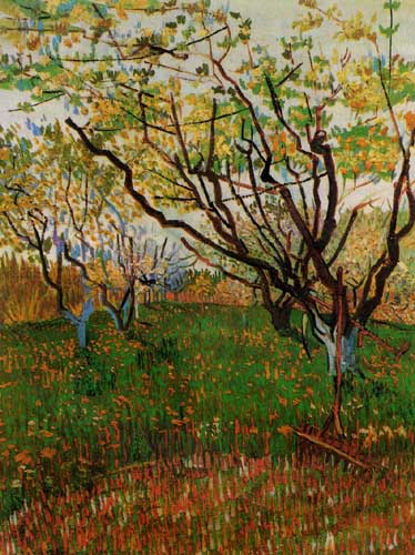 Painting Code#41574-Vincent Van Gogh - Orchard in Bloom