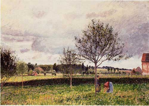 41693 Camille Pissarro Paintings oil paintings for sale