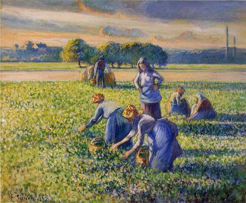 Painting Code#45811-Pissarro, Camille - Picking Peas
