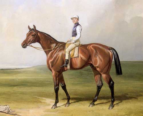 Painting Code#5022-William Sextie - Bay Racehorse With Jockey