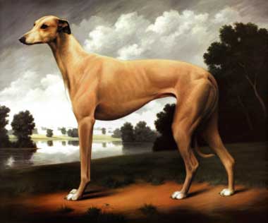 Painting Code#5123-Christine Merrill - Greyhound in a Parkland Landscape