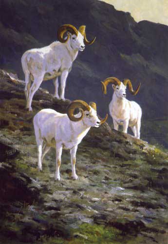 Painting Code#5178-Ken Carlson - Spirits of the Mountain