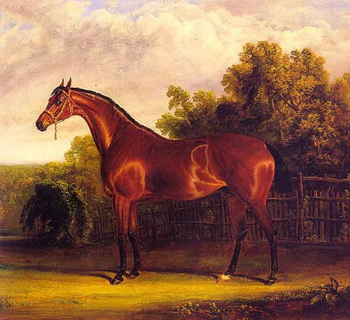 Painting Code#5195-Herring Snr, John Frederick(England): Negotiator the Bay Horse in a Landscape