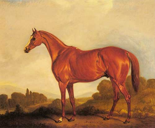 Painting Code#5270-Ferneley, Snr., John(UK): A Portrait of the Racehorse Harkaway, the Winner of the 1838 Goodwood Cup