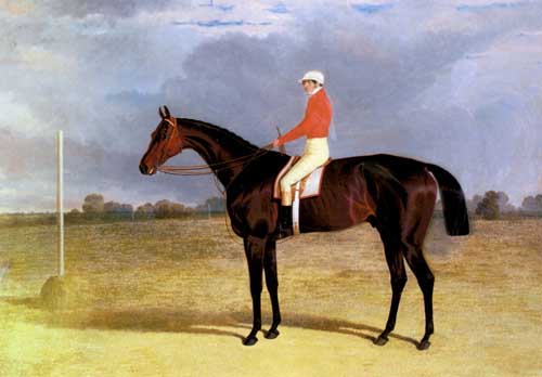 Painting Code#5284-Herring Snr, John Frederick(England): A Dark Bay Racehorse with Patrick Connolly Up