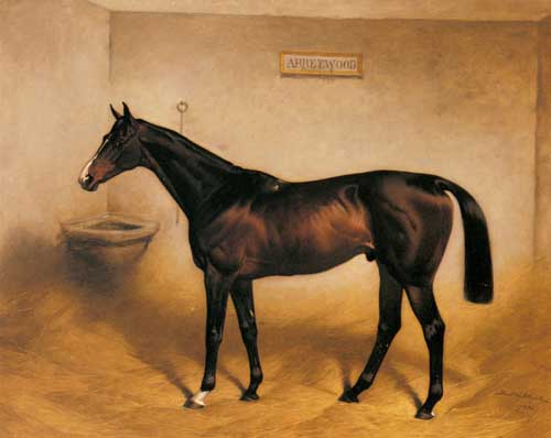 Painting Code#5391-Nightingale, Basil(UK): The Racehorse Abbeywood In A Stable