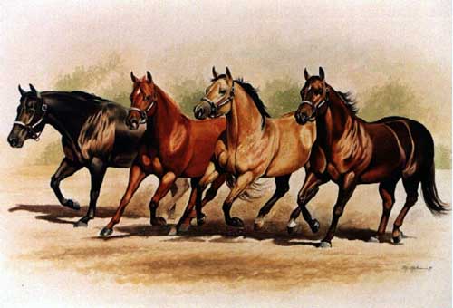 Painting Code#5446-Four Horses