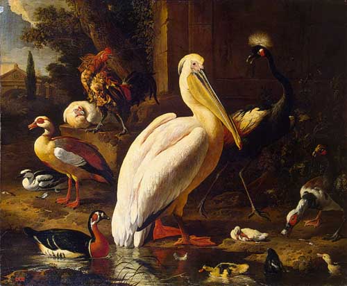 Painting Code#5517-Hondecoeter, Melchior de(Holland) - Birds in a Park
