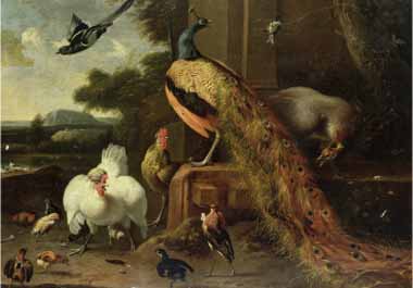 Painting Code#5519-Hondecoeter, Melchior de(Holland) - Revolt in the Poultry Coup