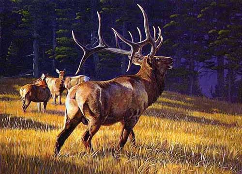 Painting Code#5566-Deers