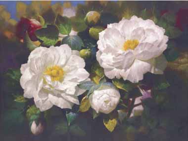 Painting Code#6362-Bowmy - Full Blossom I