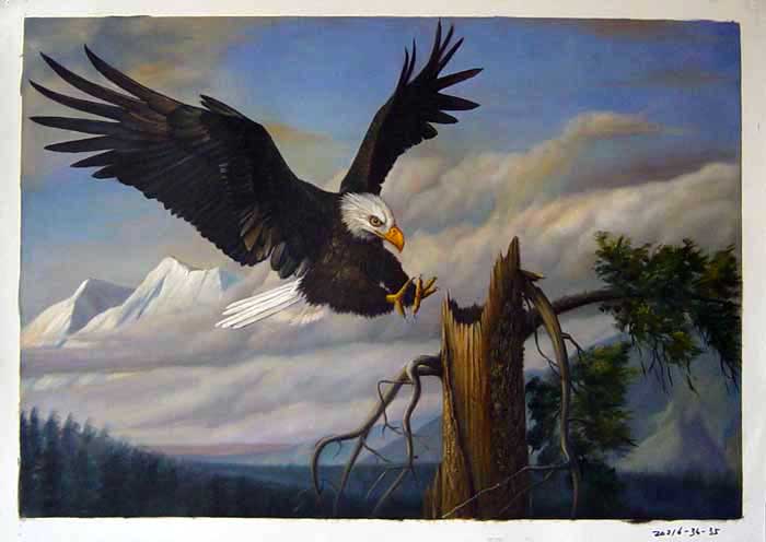 Painting Code#S120216-Bald Eagle Painting
