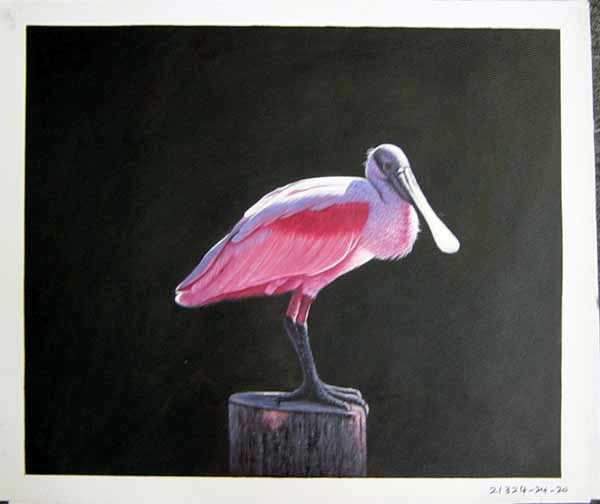 Painting Code#S121324-Bird Painting